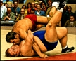 Pinned