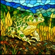 Toad
