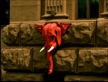 Tusks
